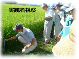 1_実践者視察.png