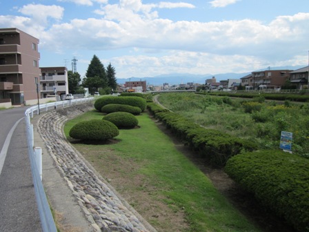 5元町北町会女鳥羽川河川敷.JPG