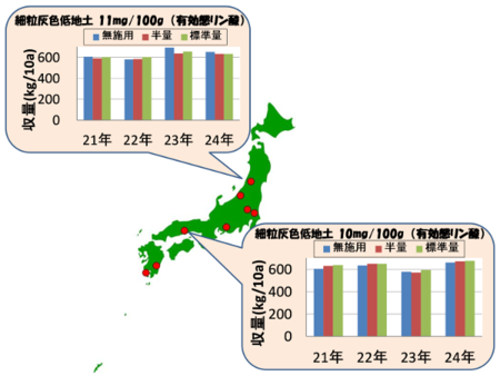 図1　8試験地点とリン酸肥料削減試験における4年間の玄米収量の二事例.png